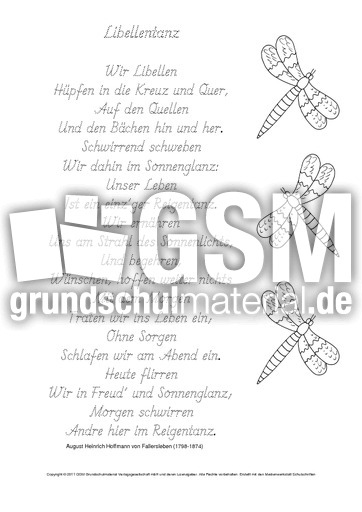 Libellentanz-Fallersleben-GS.pdf